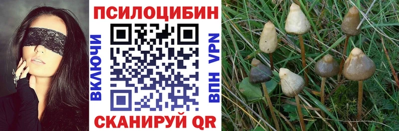 Купить закладки  Называевск  Галлюциногенные грибы мухоморы 
