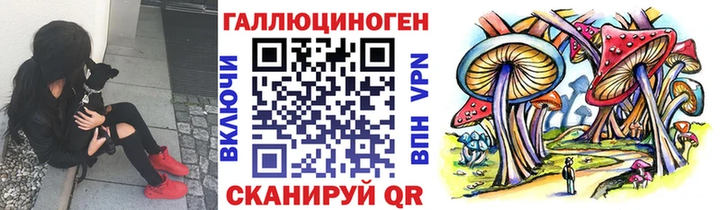 Галлюциногенные грибы мицелий Называевск